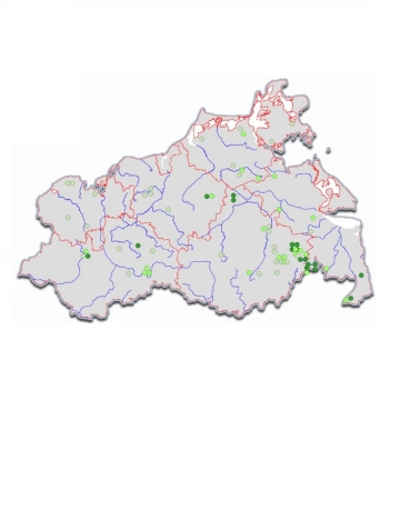 Bild Interaktive Karte